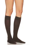 Falke Sensitive London Cotton Blend Knee High Socks In Brenda