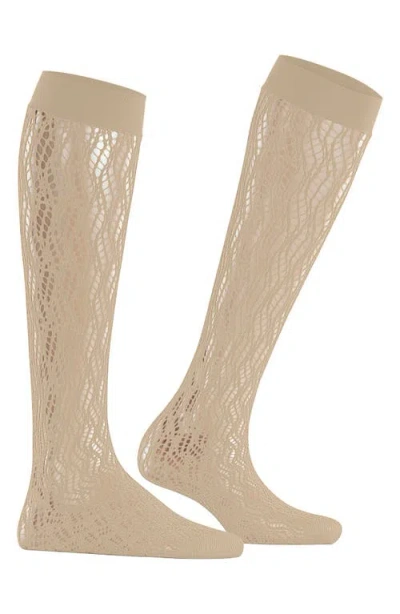 Falke Pure Shore Knee High Socks In Brown