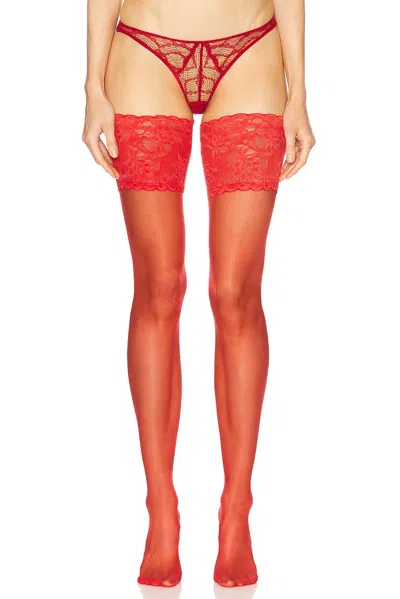 Falke Seidenglatt 15 Stay Up In Red