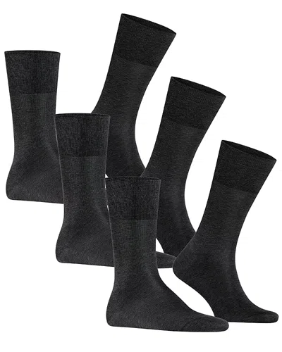 FALKE TIAGO COTTON BLEND SOLID CREW SOCKS, PACK OF 3