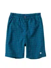Familiar Check-pattern Trousers In Blue