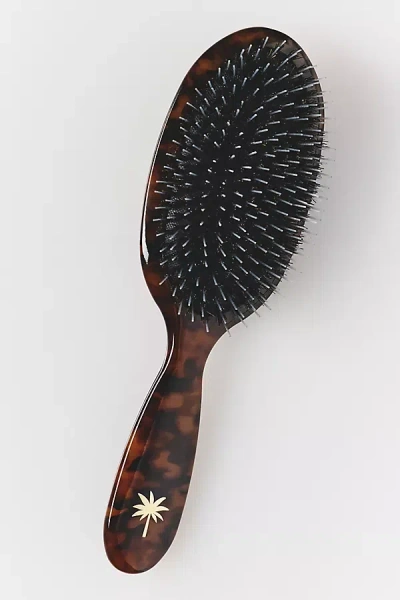 Fan Palm Medium Hair Brush In Brown