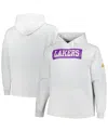 Fanatics Men's Ash Los Angeles Lakers Soft Hand Raglan Tri-blend Pullover Hoodie In Ash