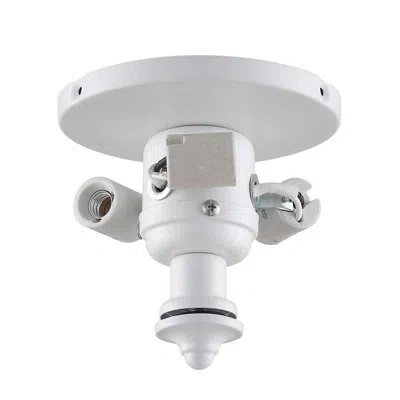 Fanimation 3-light Branched Ceiling Fan Light Fitter In Matte White