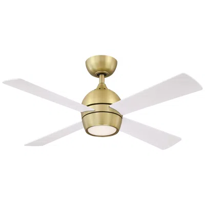 Fanimation 44"  Kwad Brushed Satin Brass Led Ceiling Fan With Remote