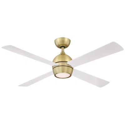 Fanimation 52"  Kwad Brushed Satin Brass Led Ceiling Fan With Remote