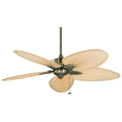 Fanimation 52"  Windpointe Brass 5-blade Ceiling Fan With Pull Chain