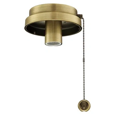 Fanimation Ceiling Fan Low Profile Light Kit Fitter With Pull Chain In Antique Brass