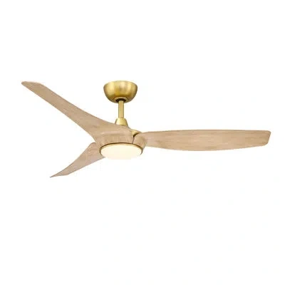 Fanimation Lizza 56 Inch Indoor/outdoor Smart Ceiling Fan With Led Cct Select Light Kit - Brushed Satin Brass W In Gold