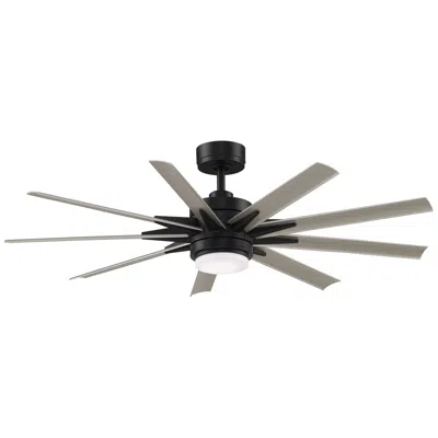 Fanimation Odyn Custom - 56 Inch - Blw With Bnw Blades And Led Lk