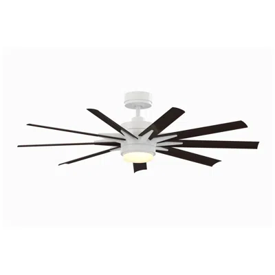 Fanimation Odyn Custom - 56 Inch - Mww With Dwaw Blades And Led Lk