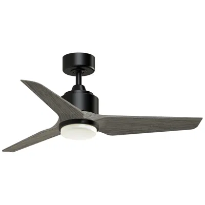 Fanimation Triaire Custom - 44 Inch - Blw With Wew Blades And Led Lk