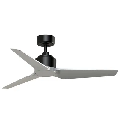 Fanimation Triaire Custom - 48 Inch - Blw With Slw Blades