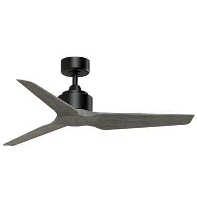 Fanimation Triaire Custom - 48 Inch - Blw With Wew Blades