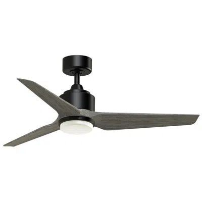 Fanimation Triaire Custom - 48 Inch - Blw With Wew Blades And Led Lk