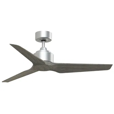 Fanimation Triaire Custom - 48 Inch - Slw With Wew Blades