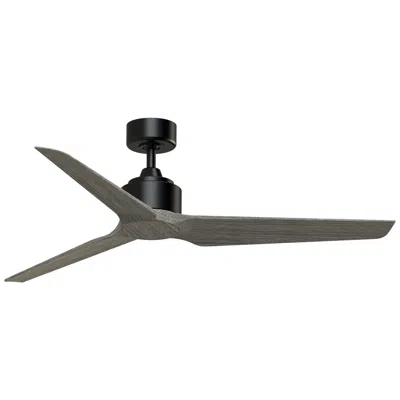 Fanimation Triaire Custom - 56 Inch - Blw With Wew Blades