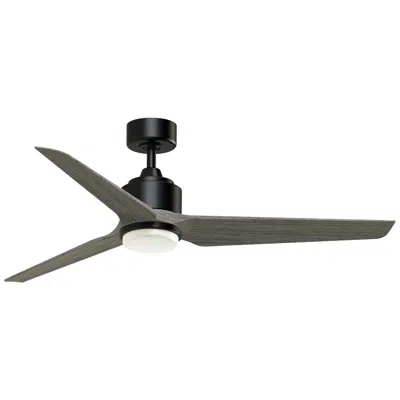 Fanimation Triaire Custom - 56 Inch - Blw With Wew Blades And Led Lk