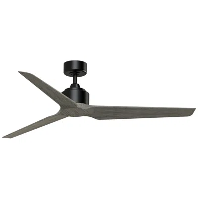 Fanimation Triaire Custom - 60 Inch - Blw With Wew Blades