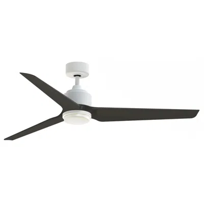 Fanimation Triaire Custom - 60 Inch - Mww With Dwaw Blades And Led Lk