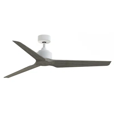 Fanimation Triaire Custom - 60 Inch - Mww With Wew Blades