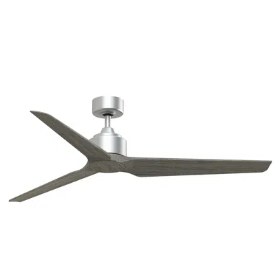 Fanimation Triaire Custom - 60 Inch - Slw With Wew Blades