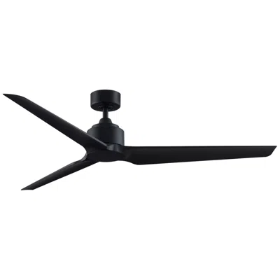 Fanimation Triaire Custom - 64 Inch - Blw With Blw Blades