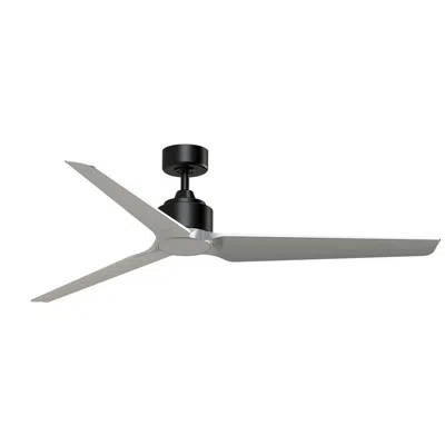 Fanimation Triaire Custom - 64 Inch - Blw With Slw Blades