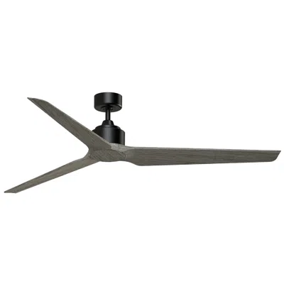Fanimation Triaire Custom - 64 Inch - Blw With Wew Blades