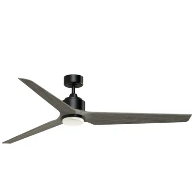 Fanimation Triaire Custom - 64 Inch - Blw With Wew Blades And Led Lk