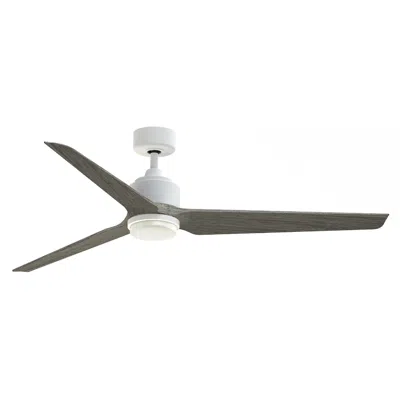 Fanimation Triaire Custom - 64 Inch - Mww With Wew Blades And Led Lk
