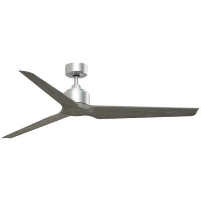 Fanimation Triaire Custom - 64 Inch - Slw With Wew Blades
