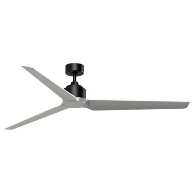 Fanimation Triaire Custom - 72 Inch - Blw With Slw Blades