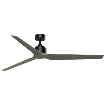 Fanimation Triaire Custom - 72 Inch - Blw With Wew Blades