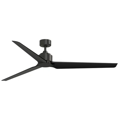 Fanimation Triaire Custom - 72 Inch - Dzw With Blw Blades