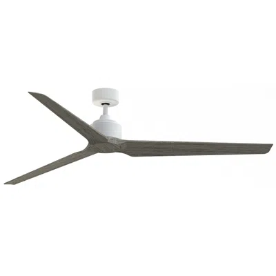 Fanimation Triaire Custom - 72 Inch - Mww With Wew Blades
