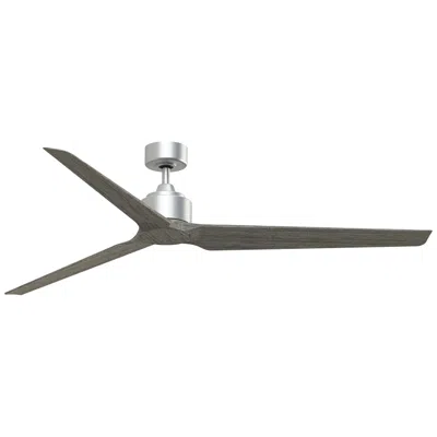 Fanimation Triaire Custom - 72 Inch - Slw With Wew Blades