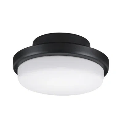 Fanimation Triaire Custom Ceiling Fan Correlated Color Temperature (cct) Select Led Light Kit In Black