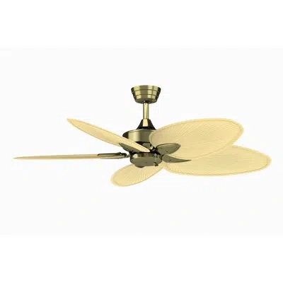Fanimation Windpointe 52 Inch Indoor Ceiling Fan With Pull Chain In Antique Brass With Palm Leaf Blades