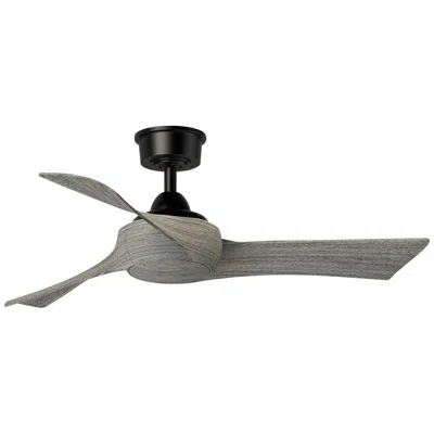 Fanimation Wrap Custom - 44 Inch - Bl With We Blades