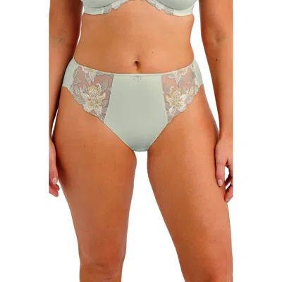 Fantasie Magdalena Scalloped Edge Briefs In Multi