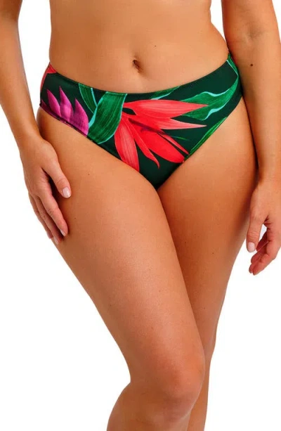 Fantasie Pichola Bikini Bottoms In Multi
