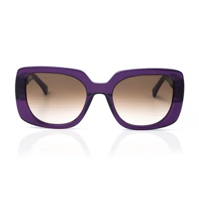 Faos Concept Women's Pink / Purple Rhodes In Crystal Purple With Sunset Brown Lenses
