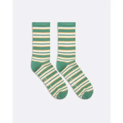 Far Afield Afsk211 Ribbed Stripe Sock In Frosty Green