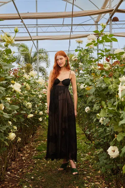 Farm Rio Black Special Lace Sleeveless Maxi Dress