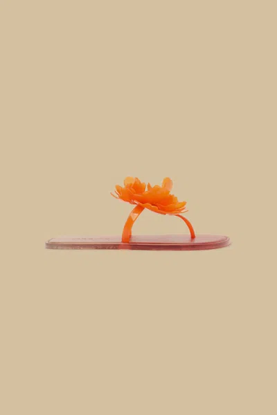Farm Rio Citrus Flower Jelly Flat Sandal