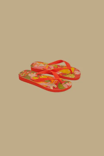 Farm Rio Active Farm Ararinhas Havaianas Sandals In Red