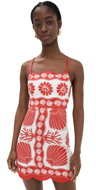 Farm Rio Ainika Shell White Mini Dress Ainika Shell White In Red