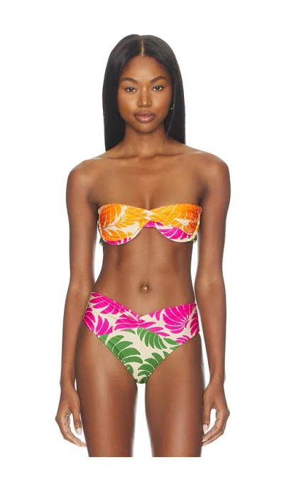Farm Rio Banana Wings Bikini Top In Pink