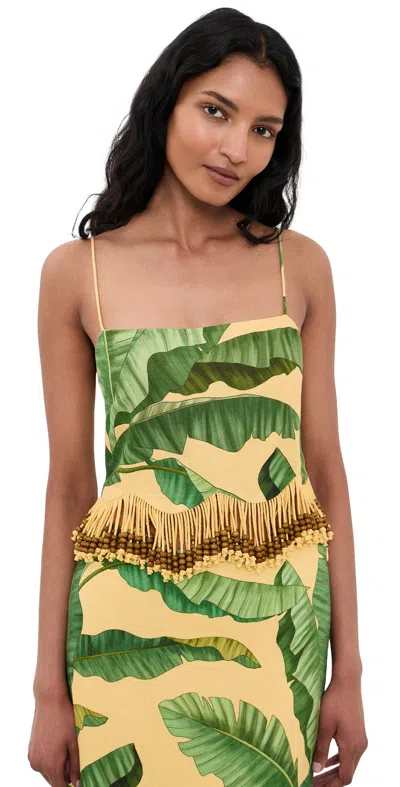 Farm Rio Banana Yellow Fruit Leaves Top Fruit Leaves Banana Yellow In Green